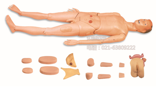 老年護理模型有哪些功能