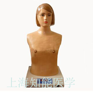 心肺聽(tīng)診是檢查什么的