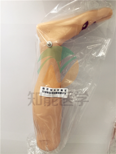 全功能創傷護理模擬人