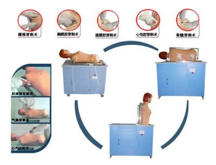 多種綜合穿刺模擬人