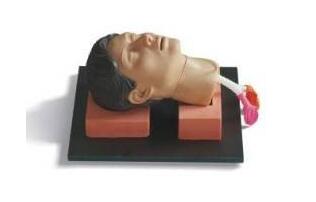 環(huán)甲膜穿刺訓(xùn)練模型的使用方法