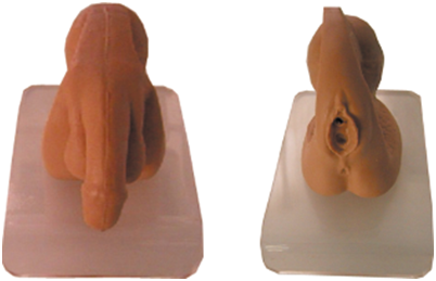 知能醫學膀胱鏡及導尿技能訓練模型 知能醫學膀胱鏡及導尿技能訓練模型