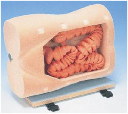 知能醫學結腸鏡檢查訓練模型