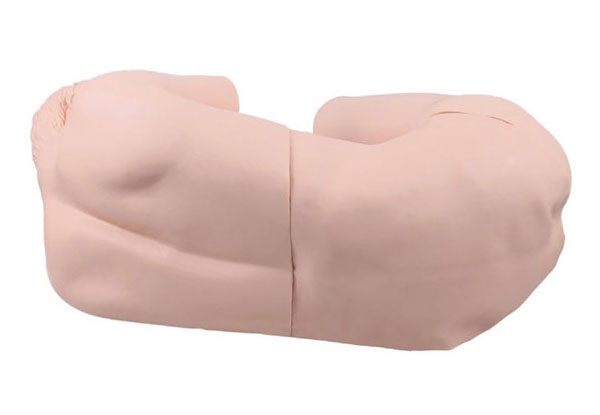 知能醫學模型-腰椎穿刺訓練模型 BIX-CK811 知能醫學模型-腰椎穿刺訓練模型 BIX-CK811