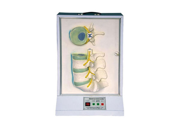 腰骶椎、椎間盤和脊神經(jīng)電動(dòng)模型產(chǎn)品功能測(cè)試報(bào)告