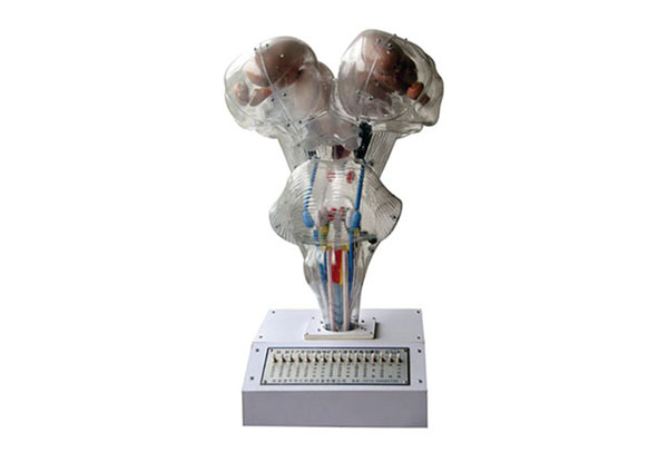 腦神經(jīng)核立體關(guān)系電動(dòng)模型產(chǎn)品功能測(cè)試報(bào)告