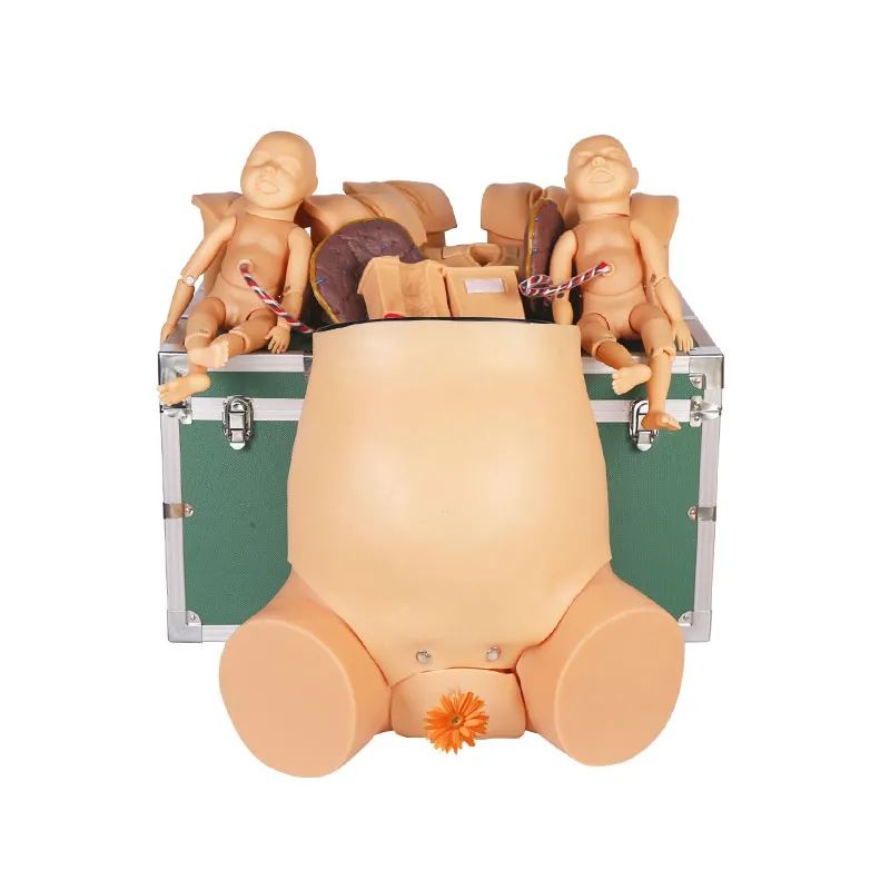 婦產科護理模擬人 婦產科護理模擬人