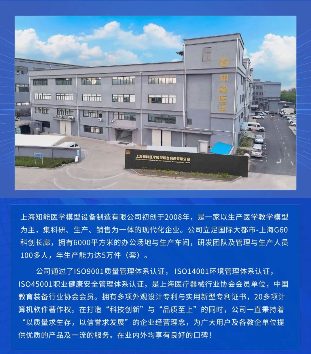 心肺復(fù)蘇模擬人 心肺復(fù)蘇模擬人