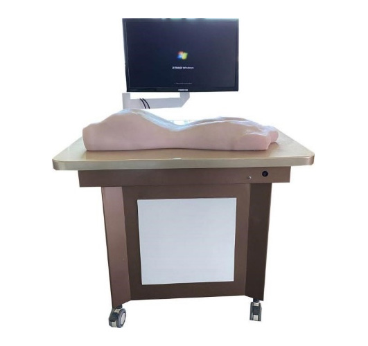 中醫拔罐、刮痧、推拿練習模型(BIX-BGTMX)