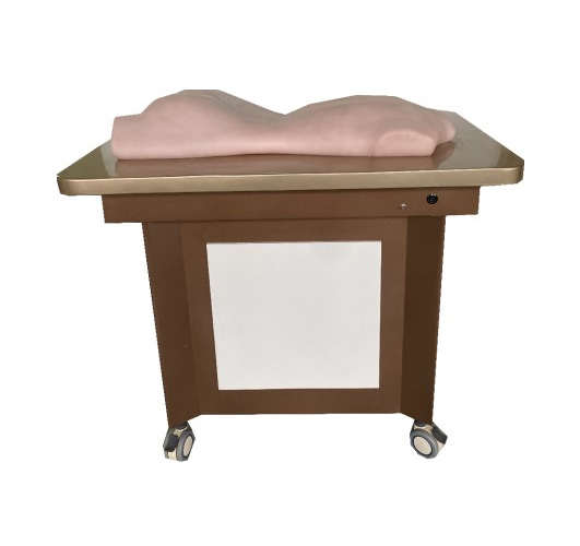 中醫針灸、推拿、拔罐背部模型(BIX-BBMX)