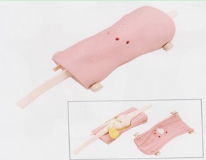 膝關節鏡檢查模型