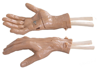 腕關節鏡檢查模型